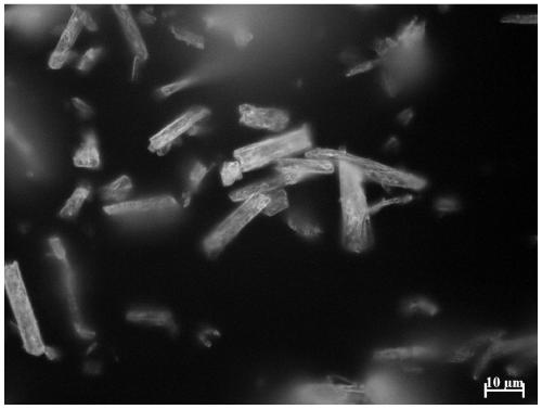 Method for preparing calcium sulfate whiskers from bone gelatin wastewater