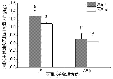 Rice cultivation water management method for moderate and mild arsenic pollution paddy field