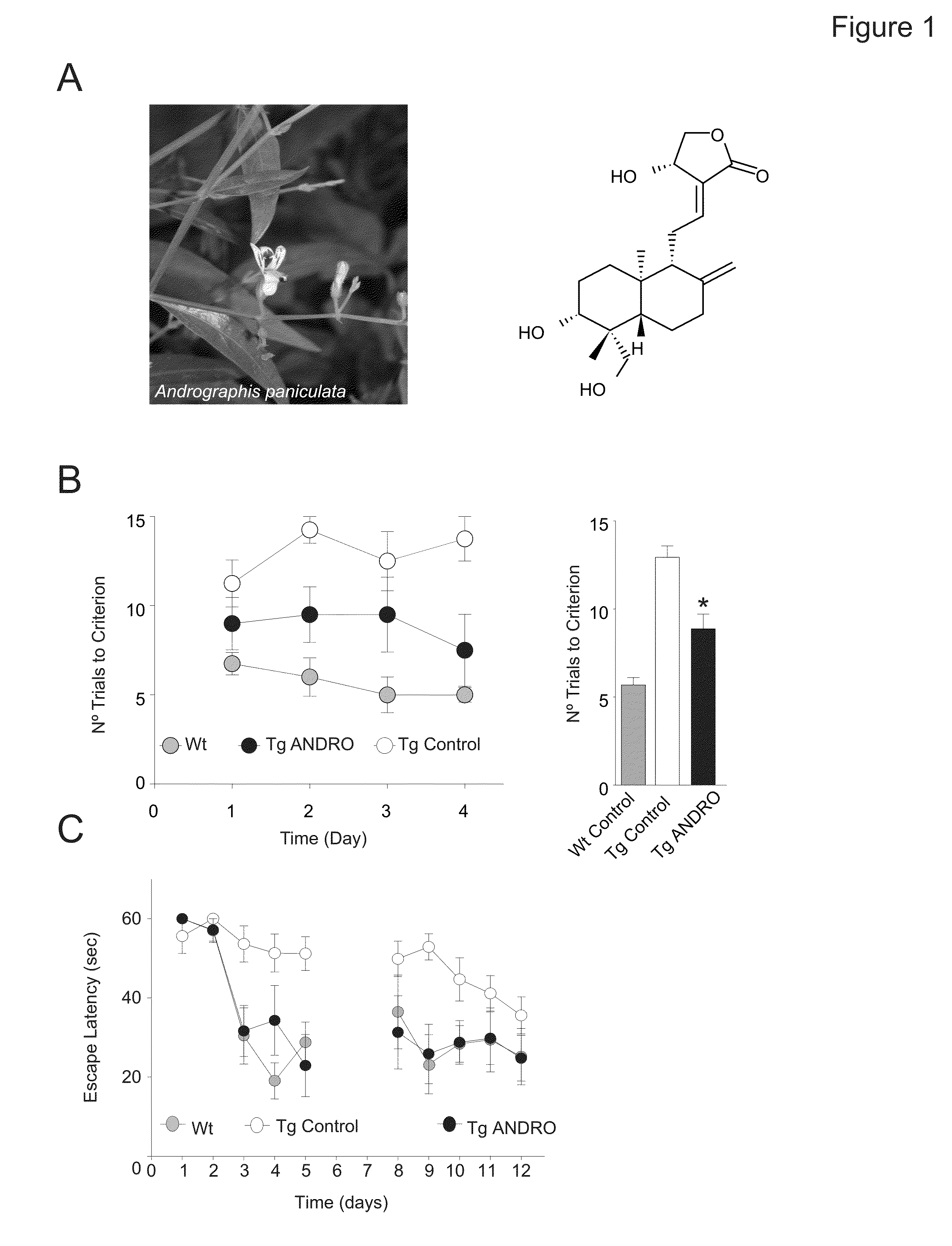 Treatment of Alzheimer's and Cognitive Impairment With Andrographolides