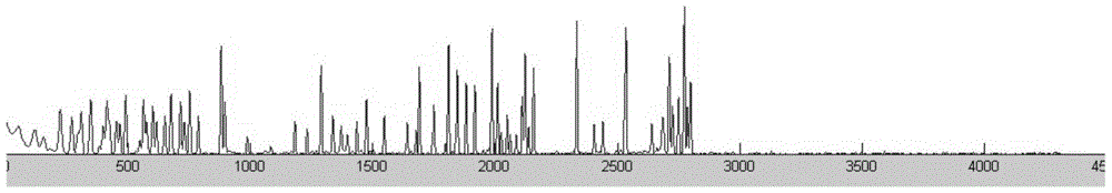 A method for identifying intra-individual SNPs in Sanger sequencing of diploid PCR products