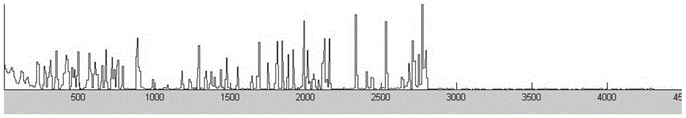 A method for identifying intra-individual SNPs in Sanger sequencing of diploid PCR products