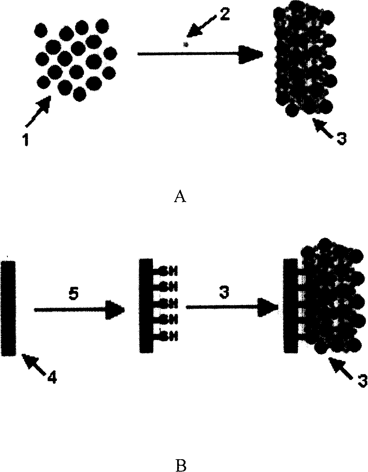 Method of fixing tripyridyl ruthenium on electrochemical electrode surface