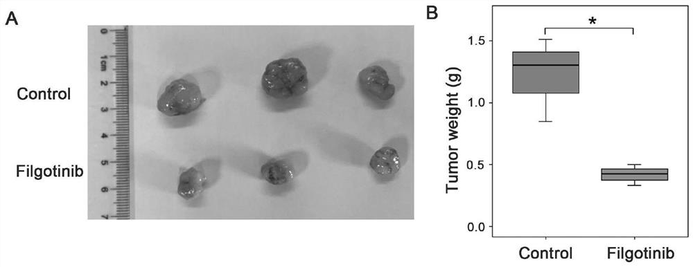 Application of felotinib in inhibition of proliferation of pancreatic cancer cells and tumor tissues