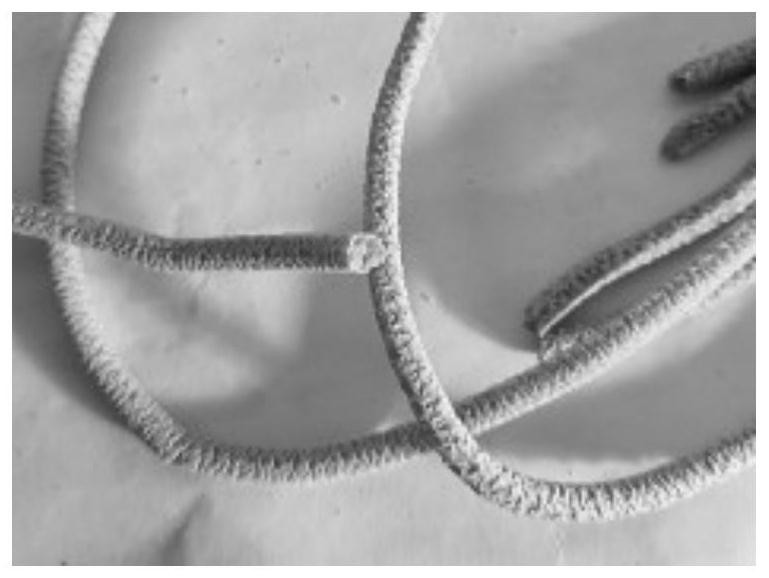 Functional instant meal aid suitable for dysphagia patients and preparation method thereof