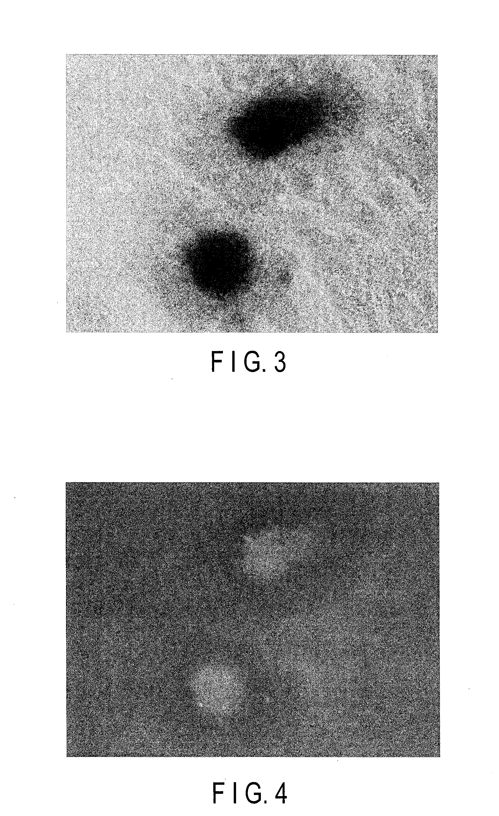 Method for monitoring differentiation into cardiac muscle cells