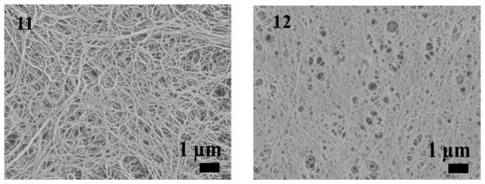 Preparation method and application of moisture-absorbing double-layer gel polymer electrolyte