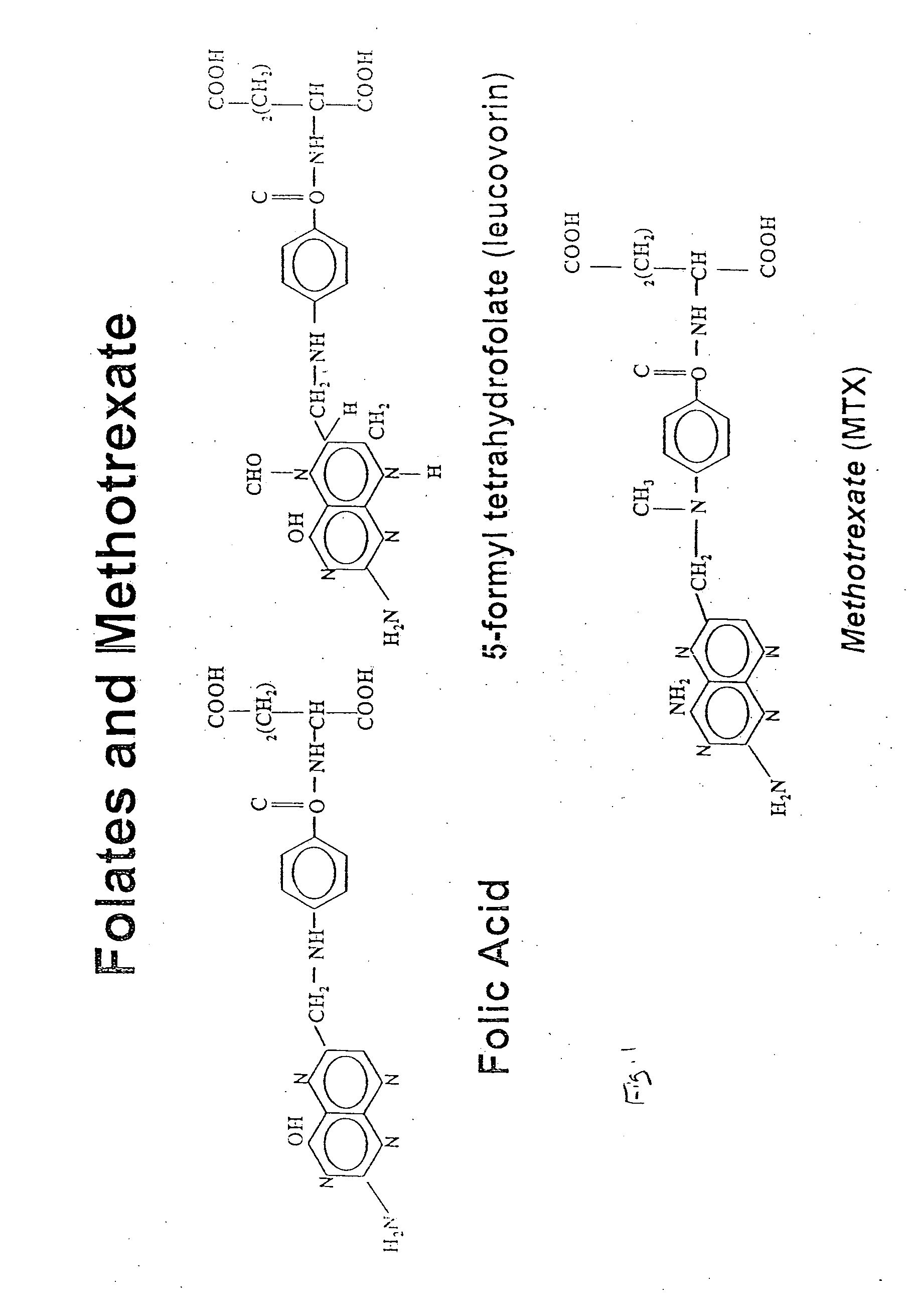 Method of and kit for assessing responsiveness of cancer patients to antifolate chemotherapy