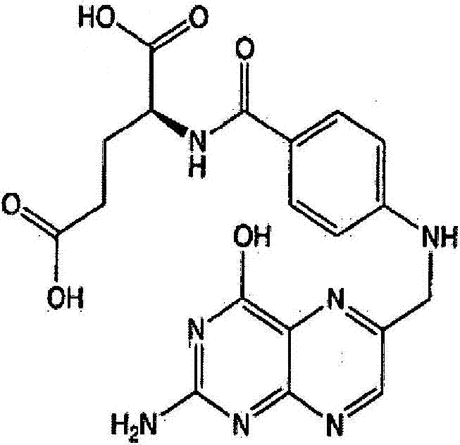 The Folic Acid-Ramipril Combination: A Cytoprotective, Neuroprotective and Retinoprotective Ophthalmic Composition