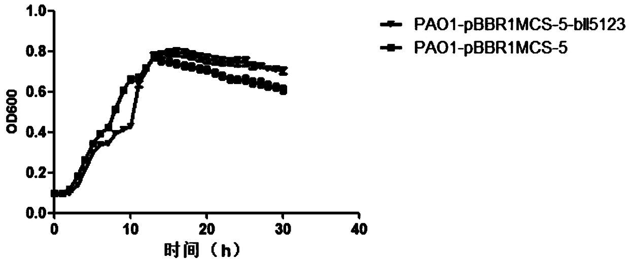 Method of researching gene function of Bradyrhizobium japonicum USDA110