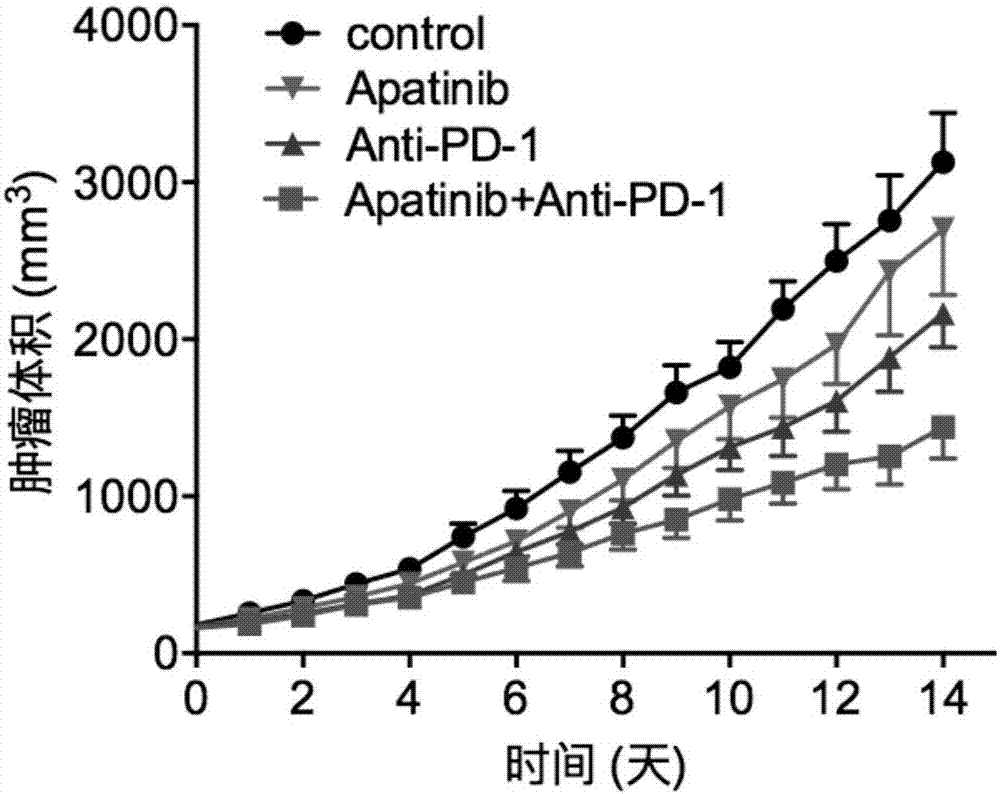 Application of apatinib and anti-PD-1 antibody combination to preparation of colon cancer medicines