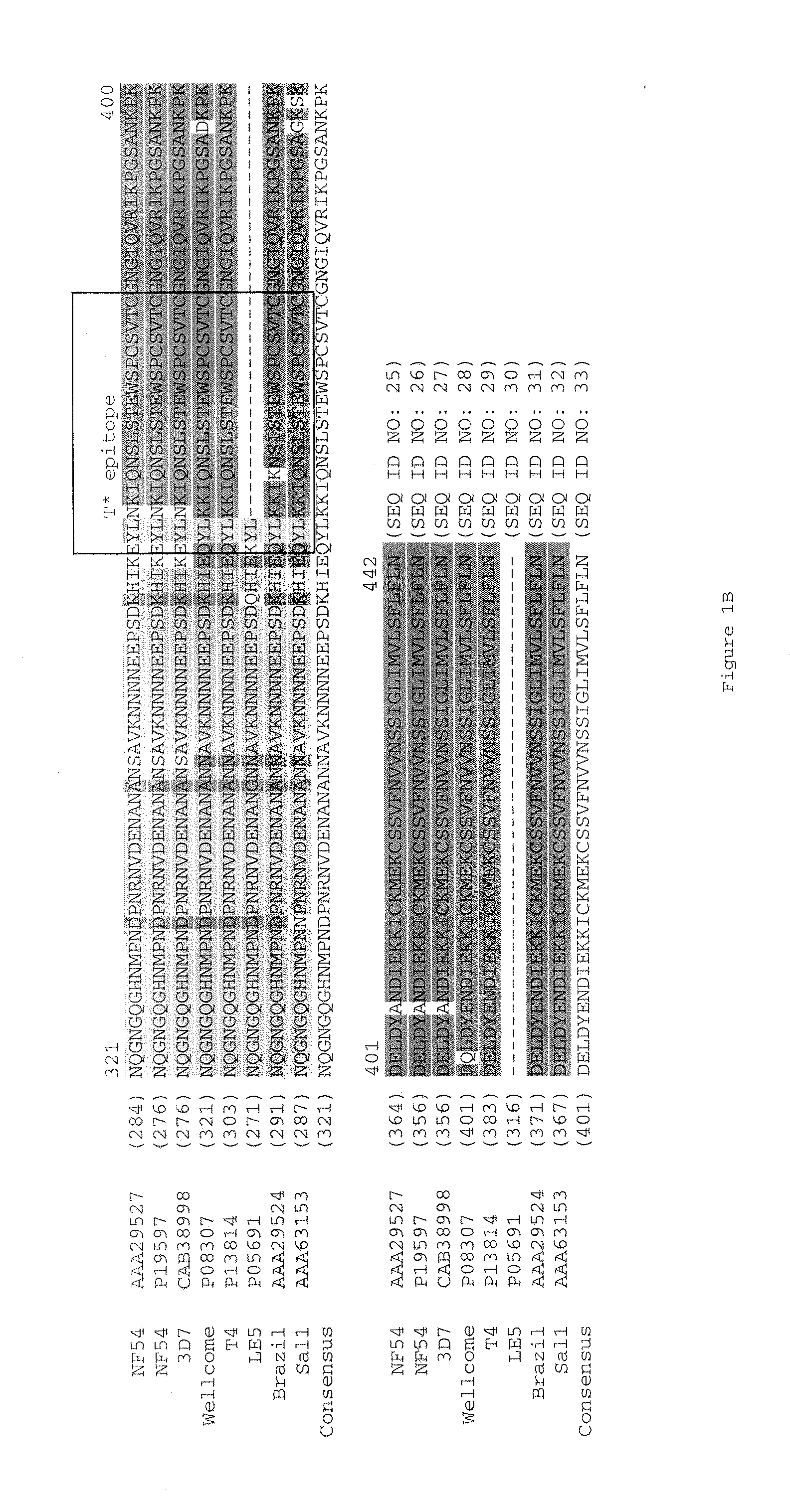 Compositions of toll-like receptor agonists and malaria antigens and methods of use