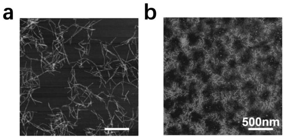 A kind of high-strength silk protein nanofiber membrane and its preparation method