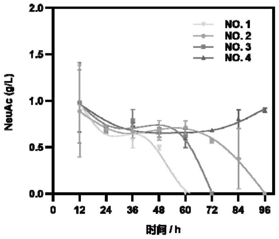Recombinant bacillus subtilis with improved production stability of N-acetylneuraminic acid