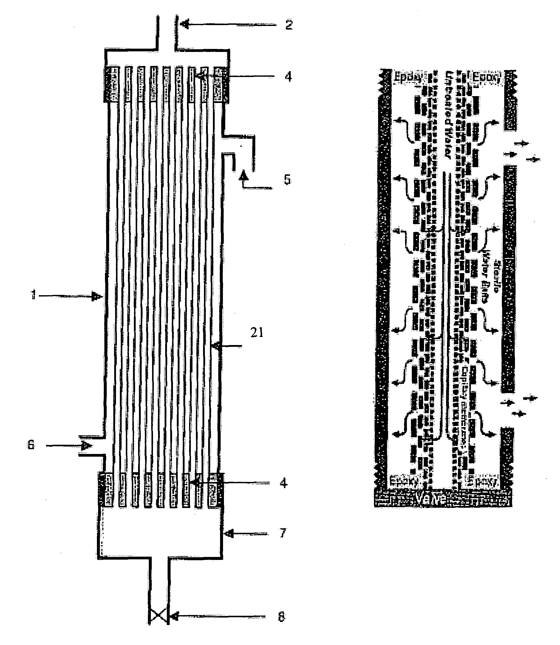 Capillary membrane filter with manually activated backwash pump