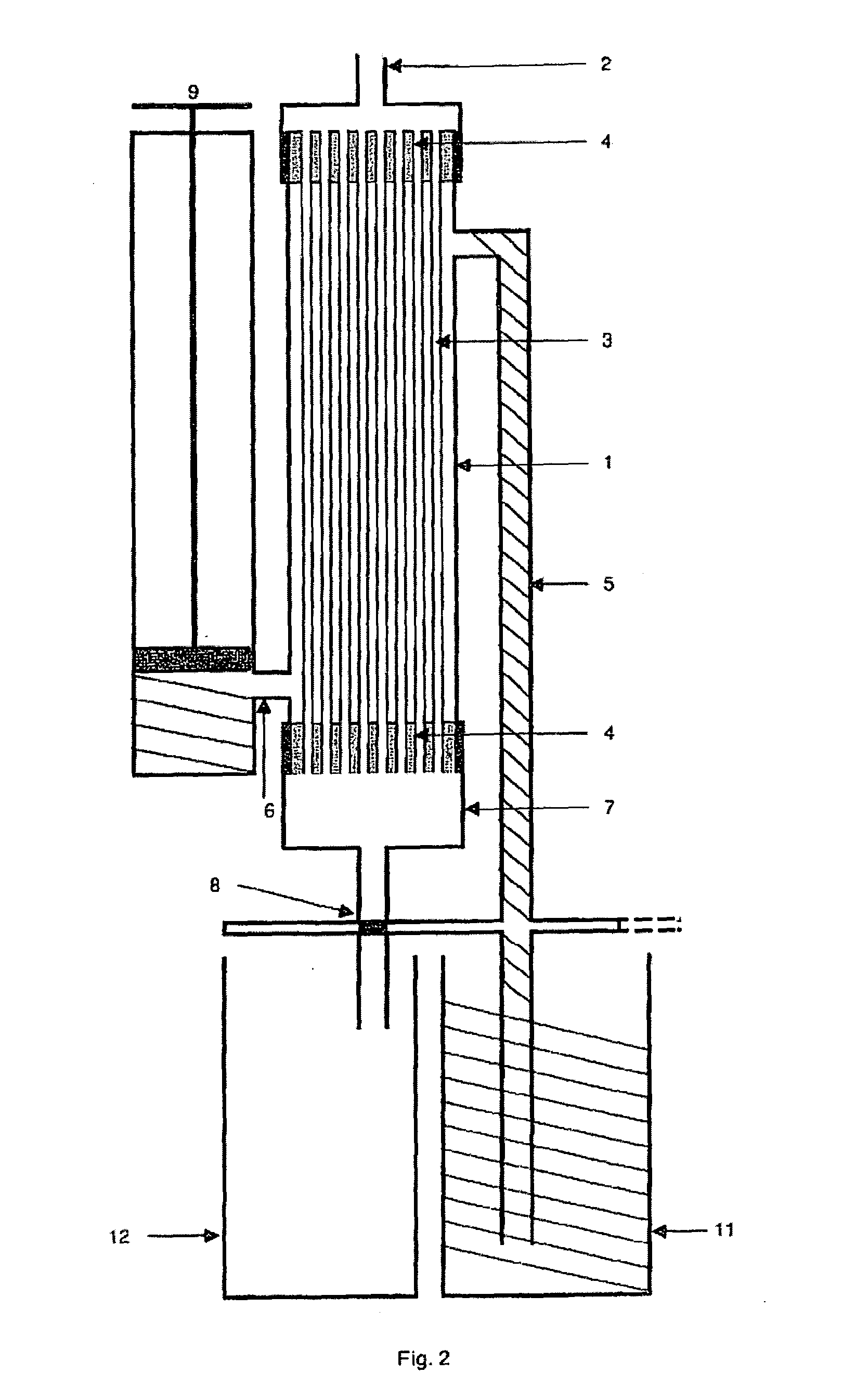 Capillary membrane filter with manually activated backwash pump