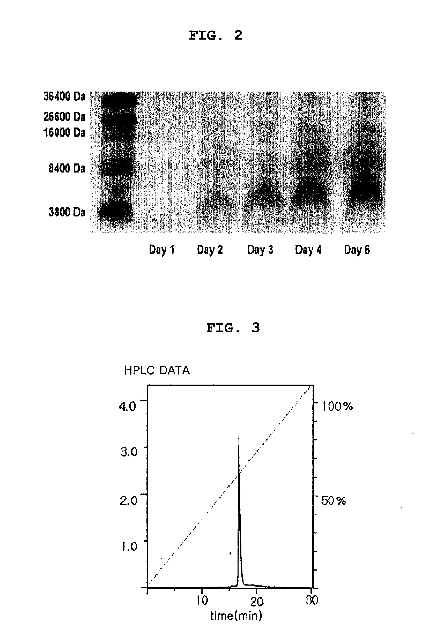 Method for preparing recombinant peptide from spider venom and method for relieving pain