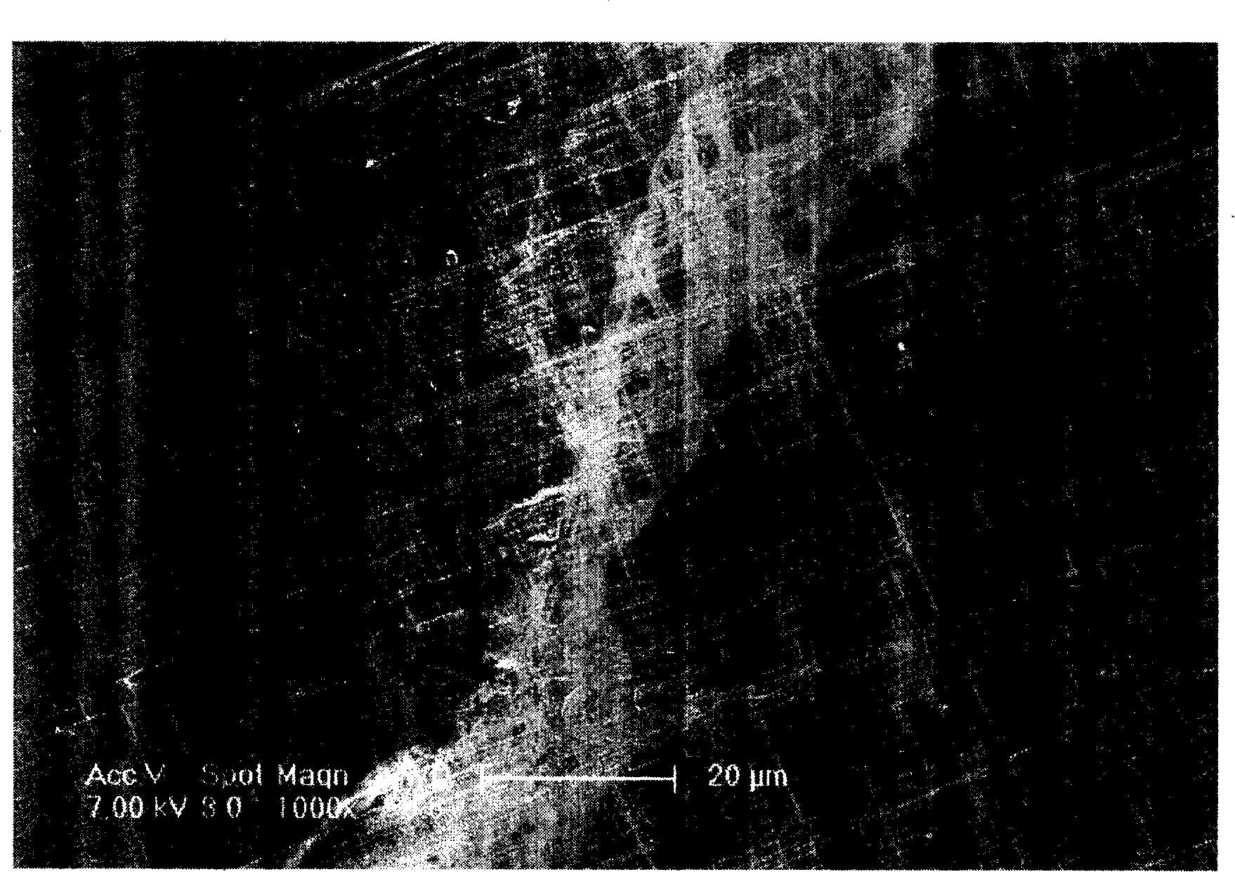 Carbon nano-tube thin film structure and preparation method thereof