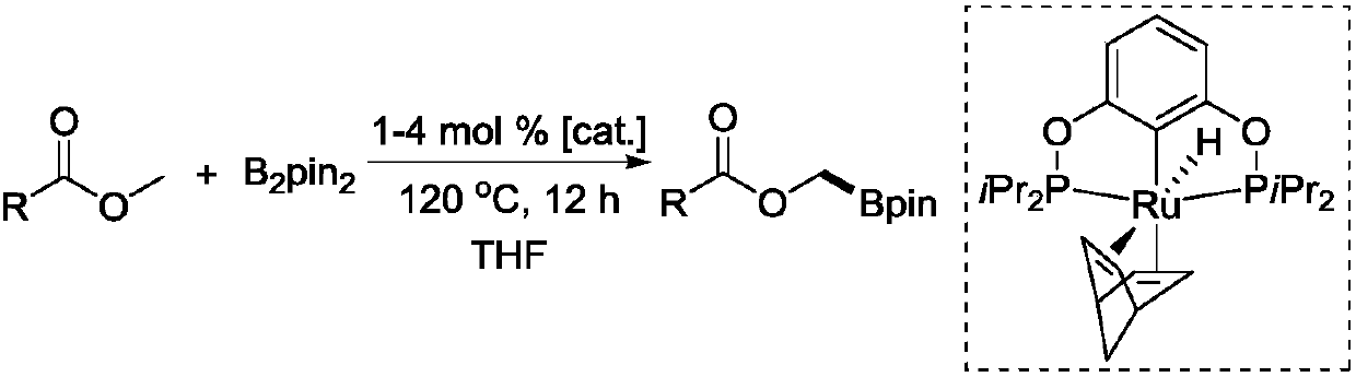 New method for selective dehydrogenation boronation reaction by catalyzing methyl ester through ruthenium