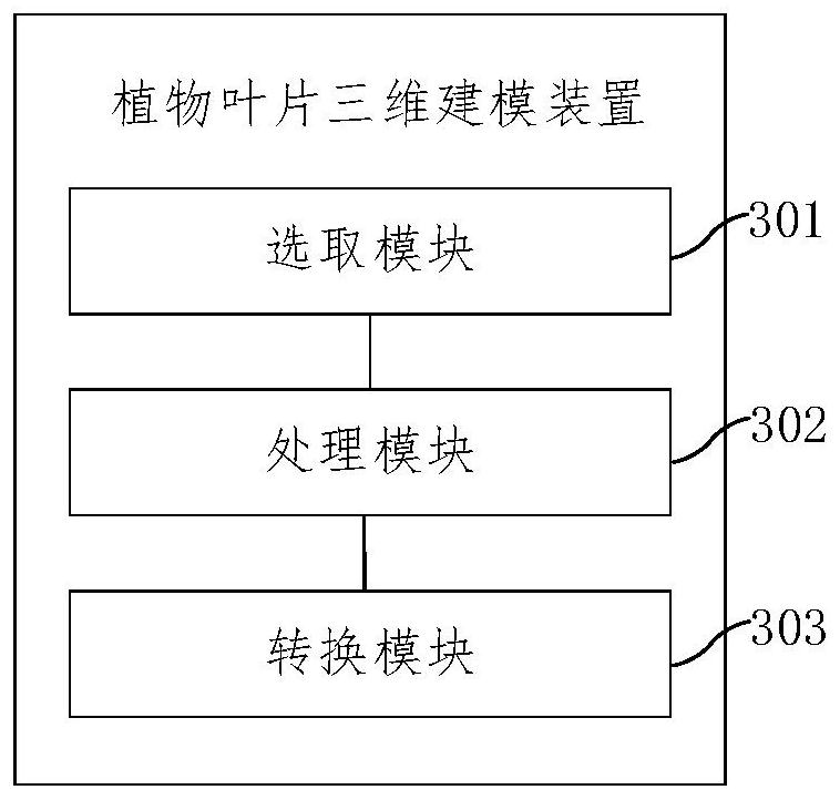 Plant leaf three-dimensional modeling method and device