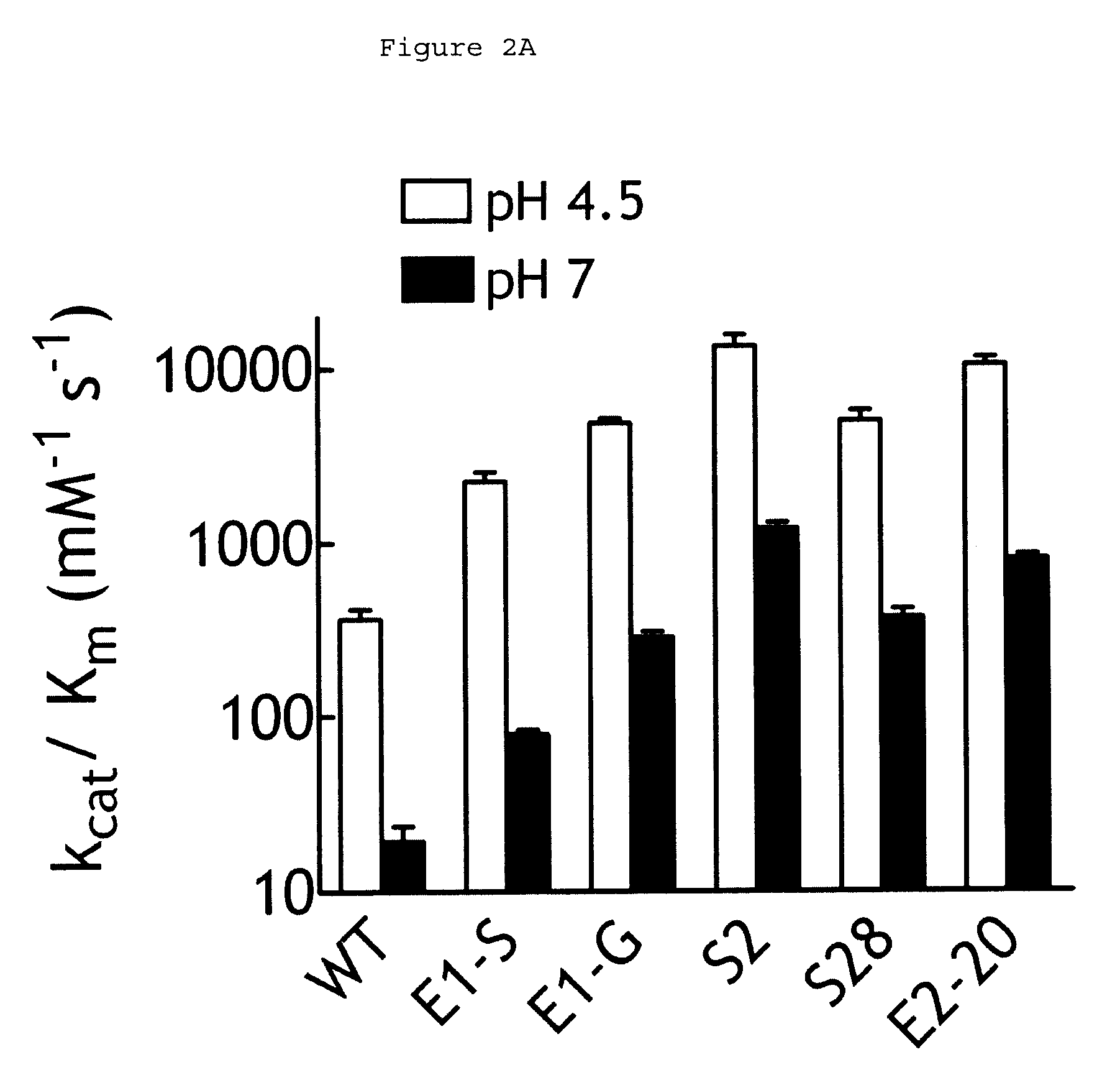 Human beta-glucuronidase mutants with elevated enzymatic activity under physiological conditions and method for identifying such