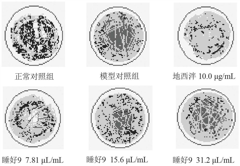 Beverage composition for relieving pressure, relaxing mood and improving sleep of young people and preparation method thereof