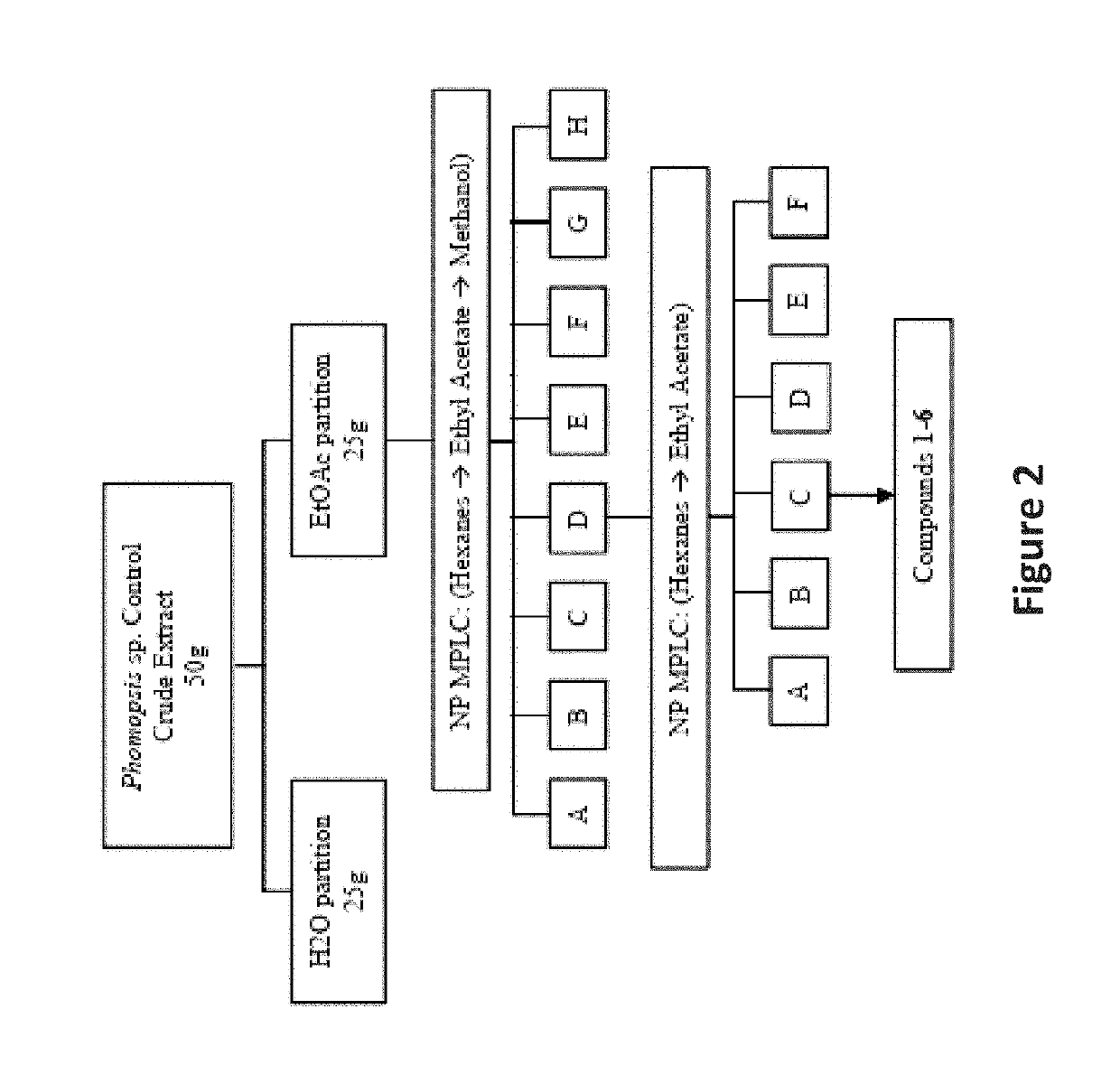 Antimicrobials from an epigenetics based fungal metabolite screening program