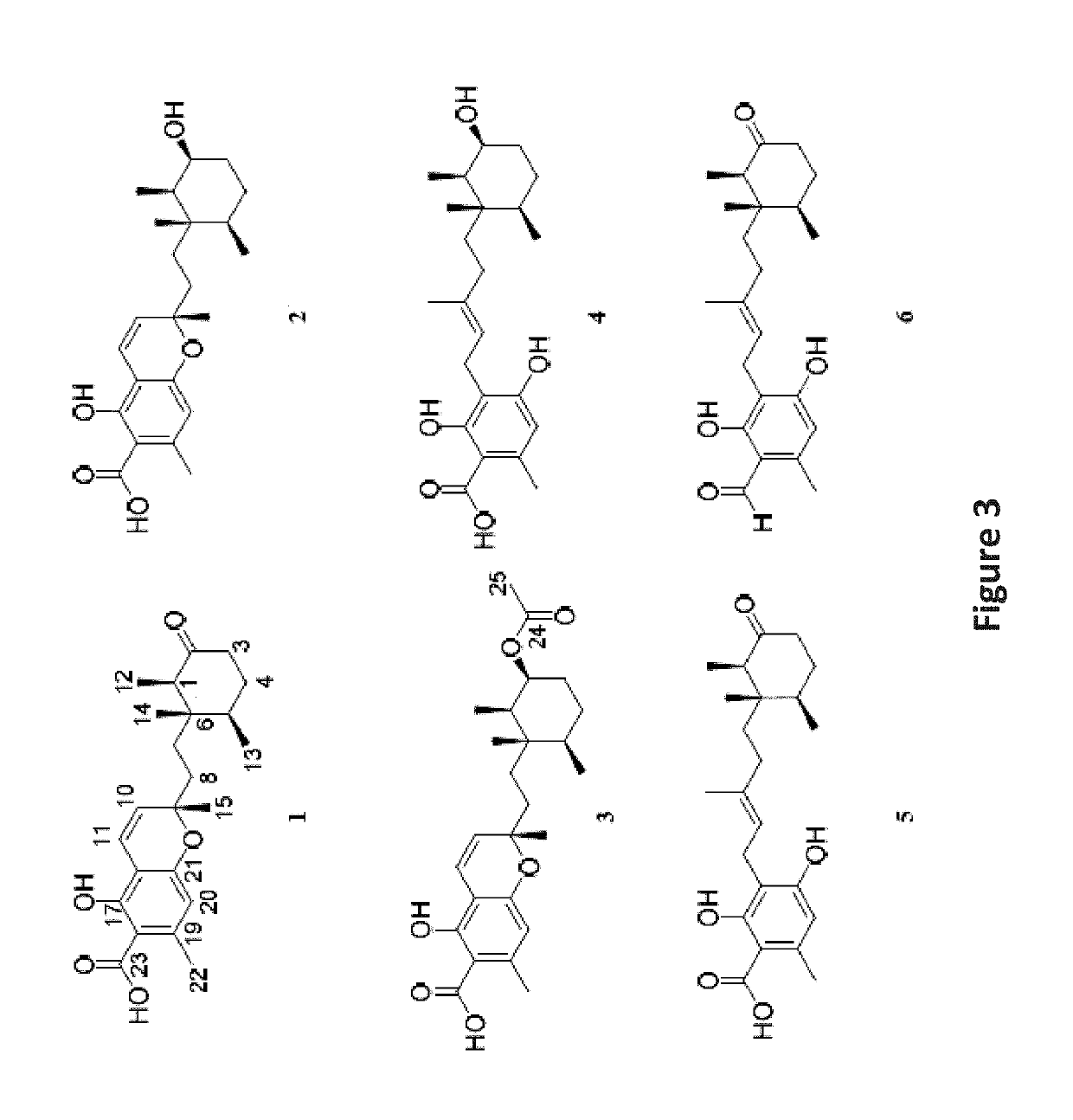 Antimicrobials from an epigenetics based fungal metabolite screening program