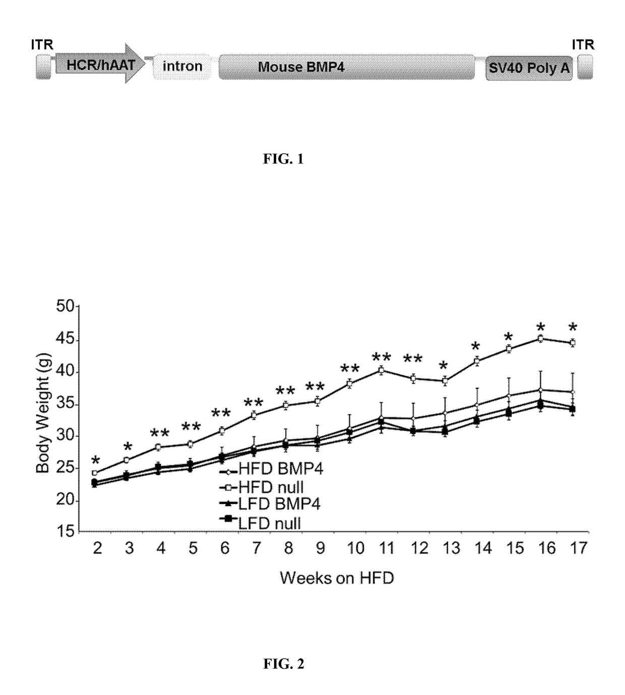 Adeno-Associated Viral Vectors for the Gene Therapy of Metabolic Diseases