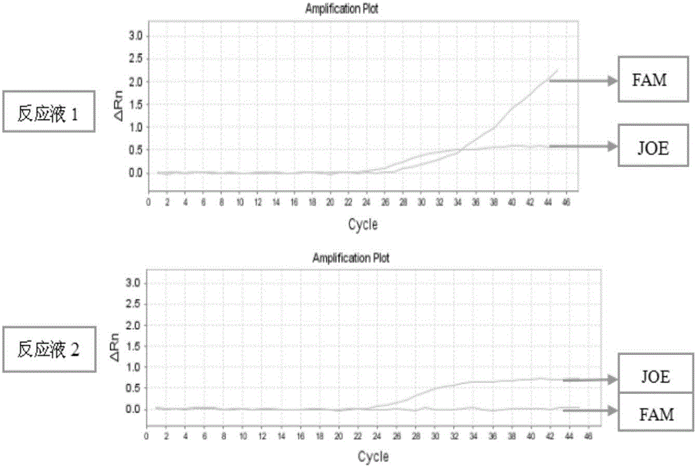 CYP2C9 genotype detecting primer-probe set and kit
