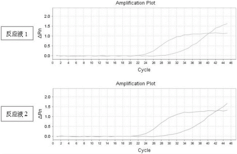 CYP2C9 genotype detecting primer-probe set and kit