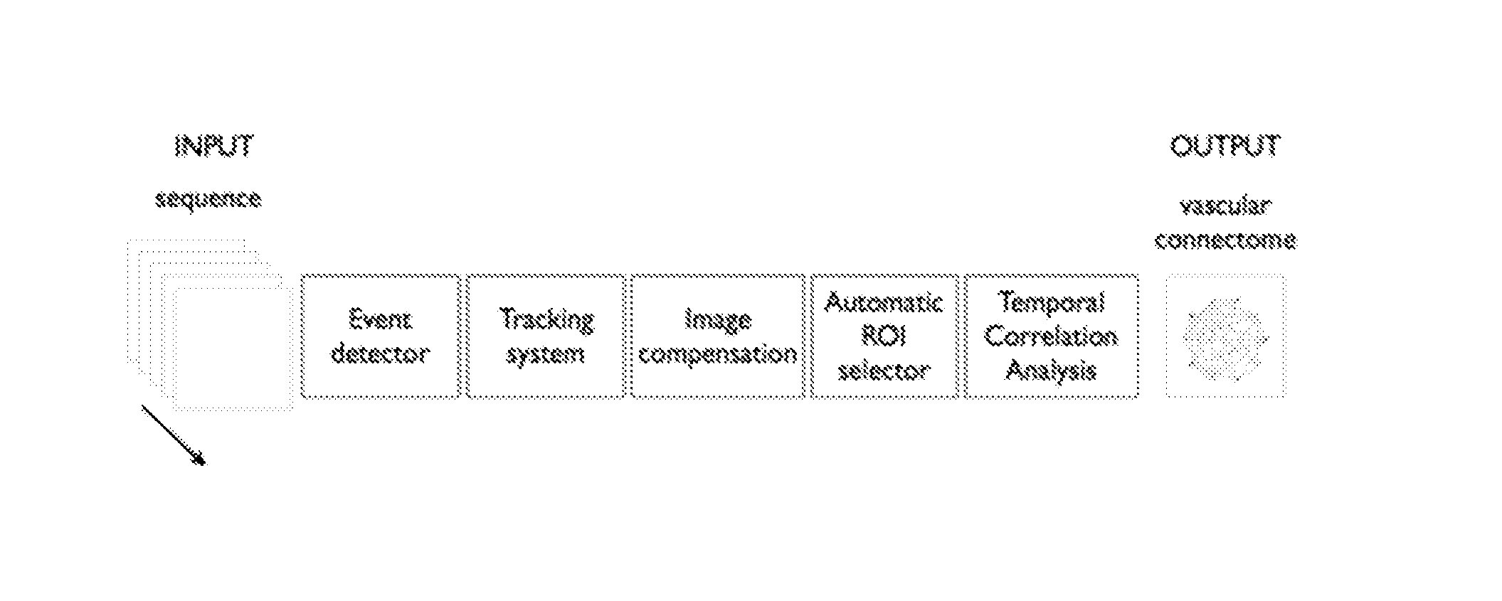 A computer implemented method for assessing vascular networks from medical images and uses thereof