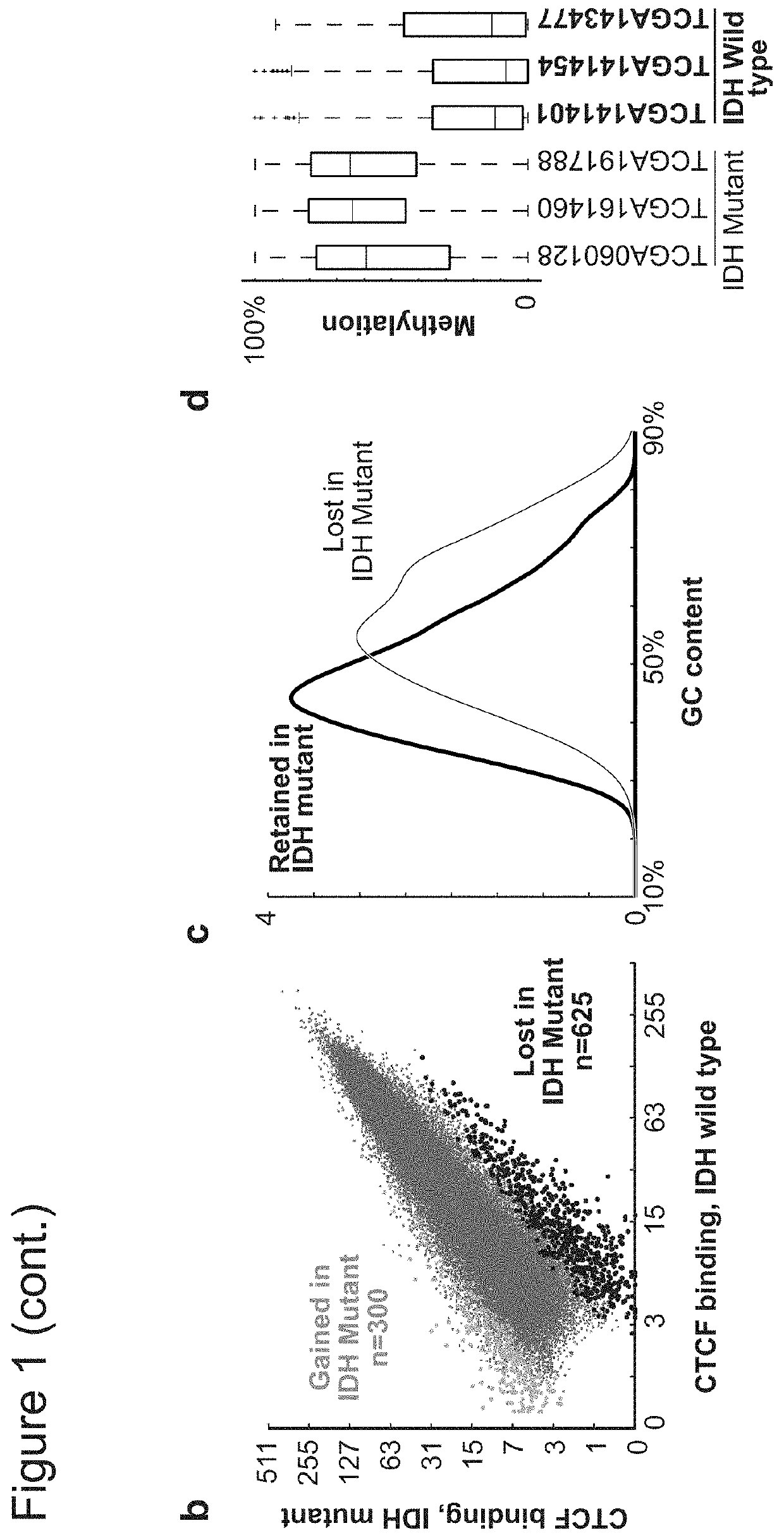 Methods of detecting insulator dysfunction and oncogene activation for screening, diagnosis and treatment of patients in need thereof