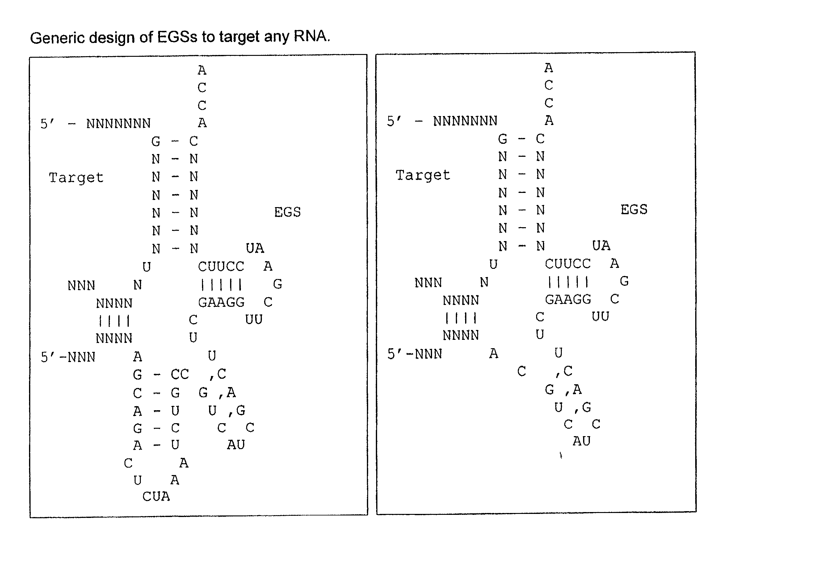 In vivo selection method for determining inhibitory RNA molecules