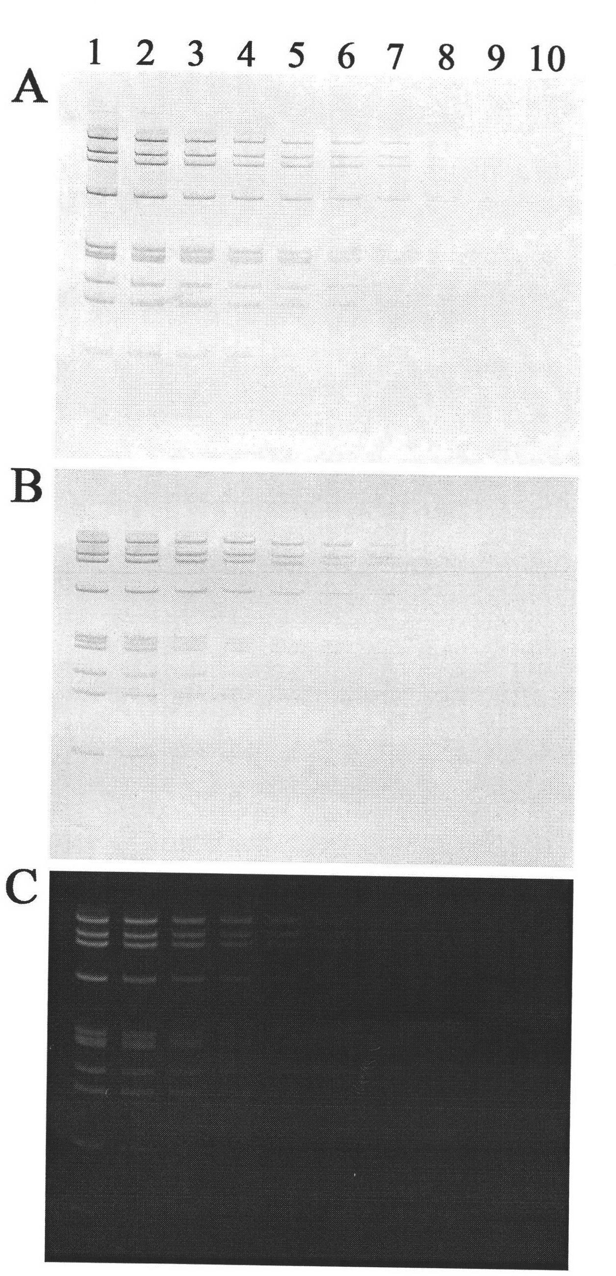 Safe and environment-friendly DNA (Deoxyribose Nucleic Acid) silver staining method for polyacrylamide gel