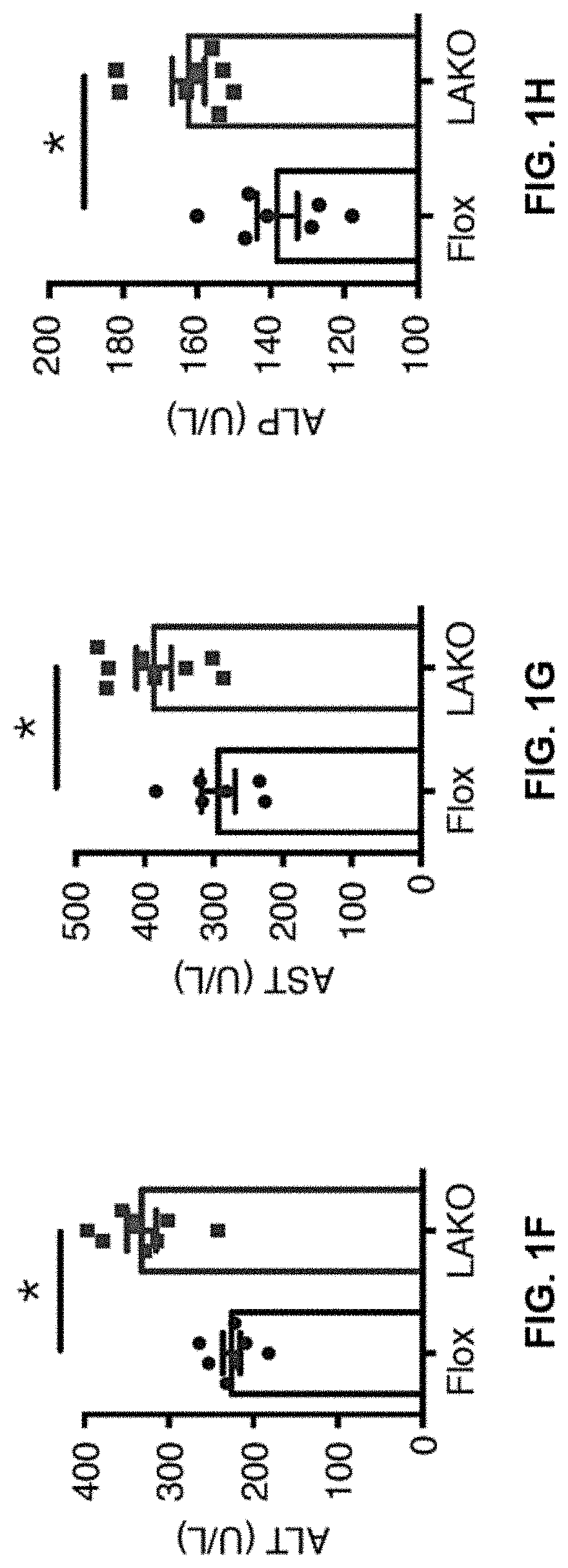 Ampk/caspase-6 axis controls liver damage in nonalcoholic steatohepatitis