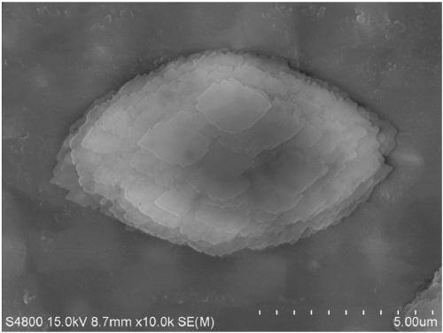 Preparation method of nano layered clinoptilolite molecular sieve