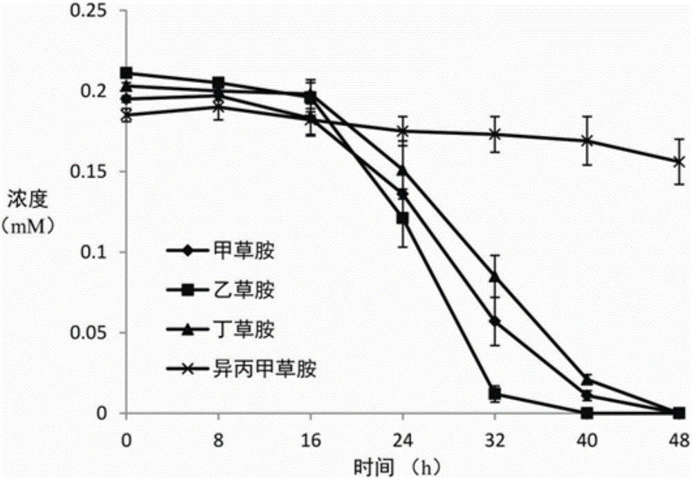 Chloroacetamide herbicide degrading strain, bacterium produced thereby and application thereof