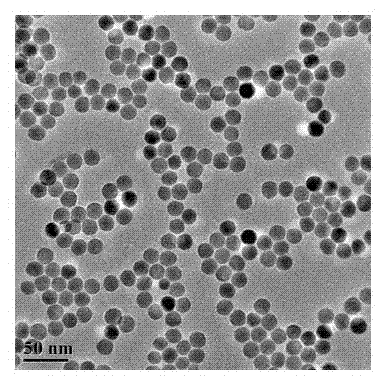 NaYF4-based fluorescent nano particles with double effects and preparation method thereof