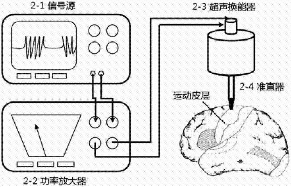Transcranial ultrasound stimulation cranial-nerve-function-repairing device and method