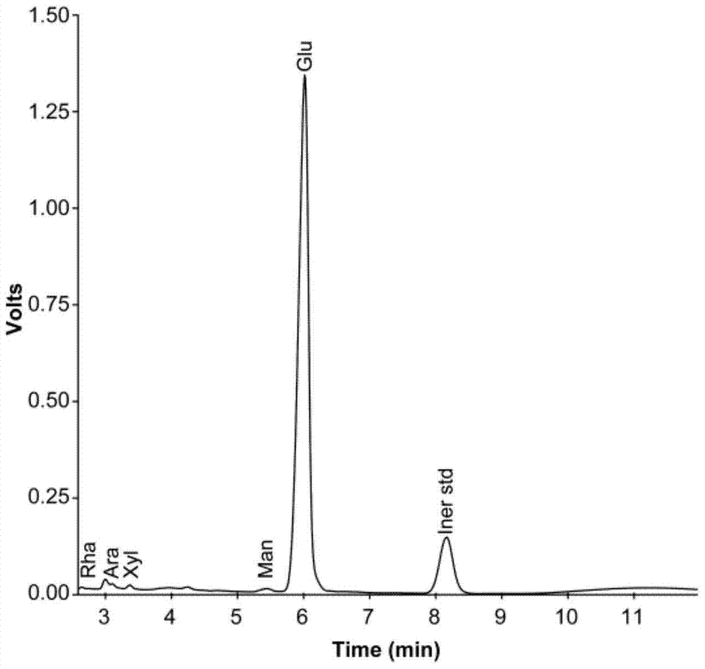 Active polysaccharide extracted and purified from canned Agaricus bisporus processing wastewater and its extraction and purification process and application