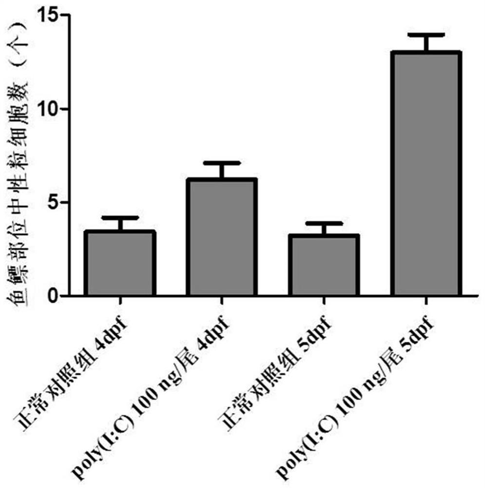 Method for evaluating preventing effect of drug on viral pneumonia