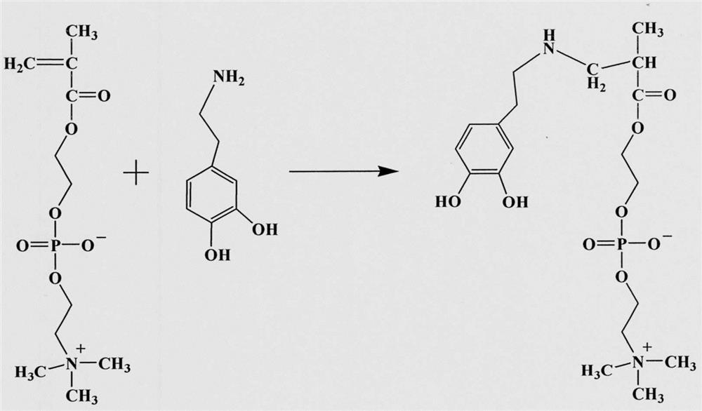 A kind of coating method of double biomimetic dopamine phosphorylcholine substance