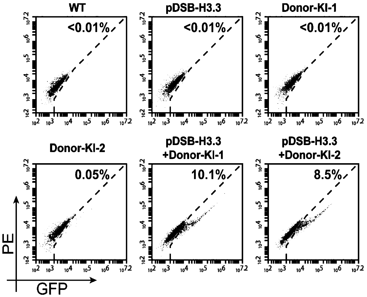 Method for genetically modifying a predetermined site in the genome of a cell