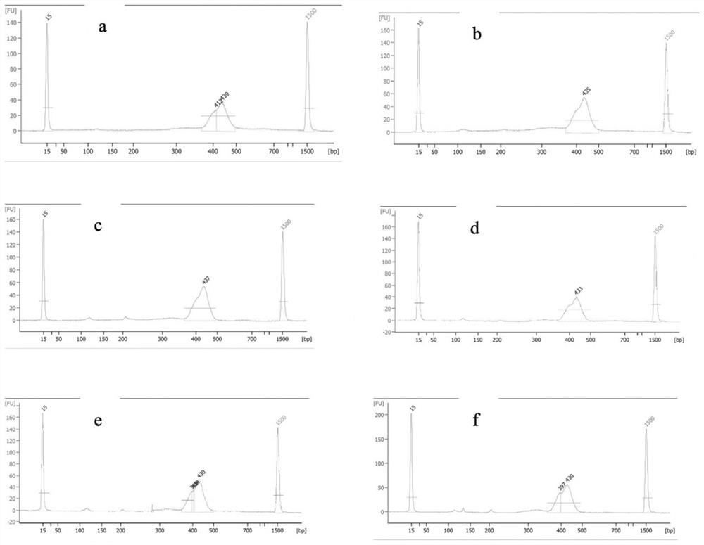 A method for constructing a universal gene detection library for alport syndrome and its kit