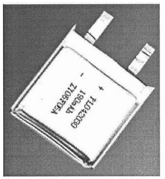 A kind of automatic detection method of battery positive and negative terminal length