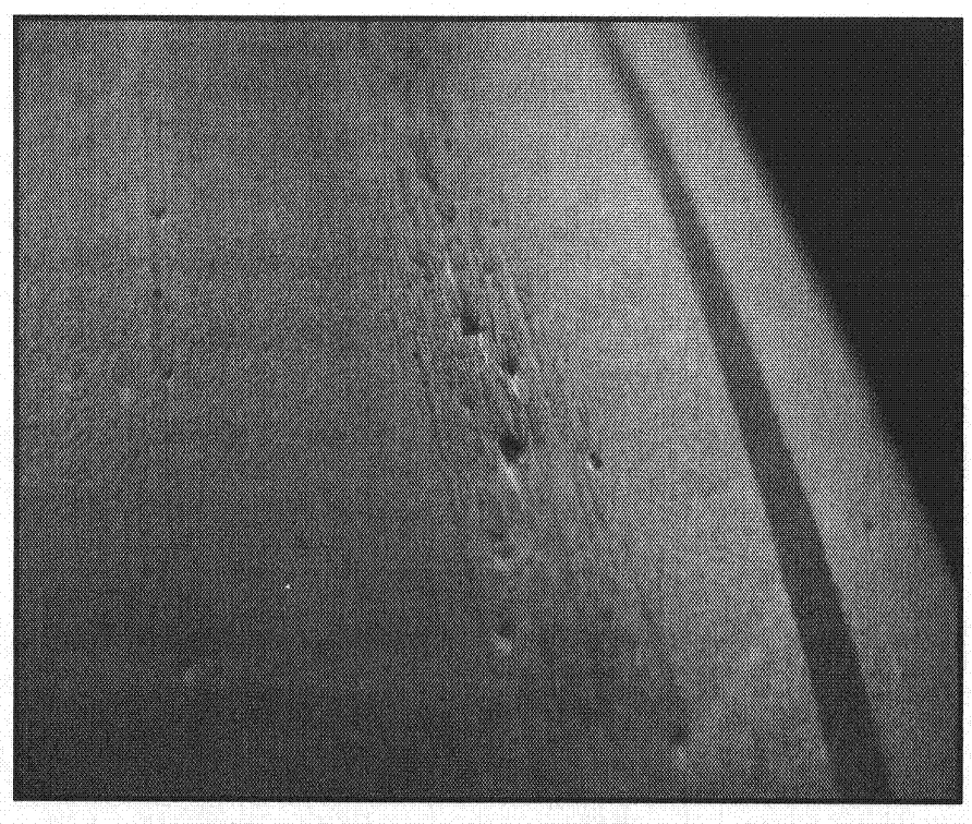 Novel glass lubricant of stainless steel extruded tube