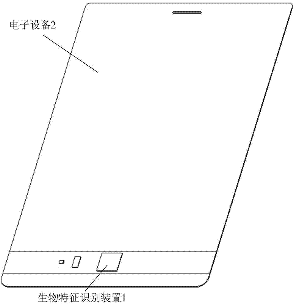 Biometric feature recognition device and electronic equipment