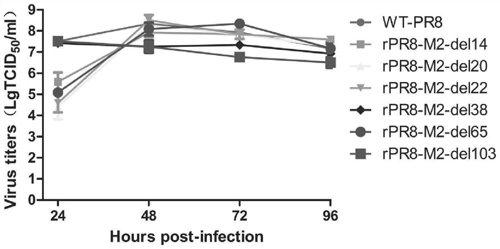 Influenza virus attenuating method, influenza attenuated virus strain and application