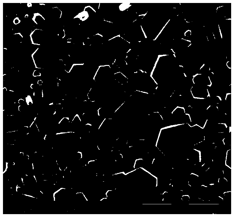 Preparation method of metal film/zinc oxide (ZnO) nanorod array fluorescence enhancement material