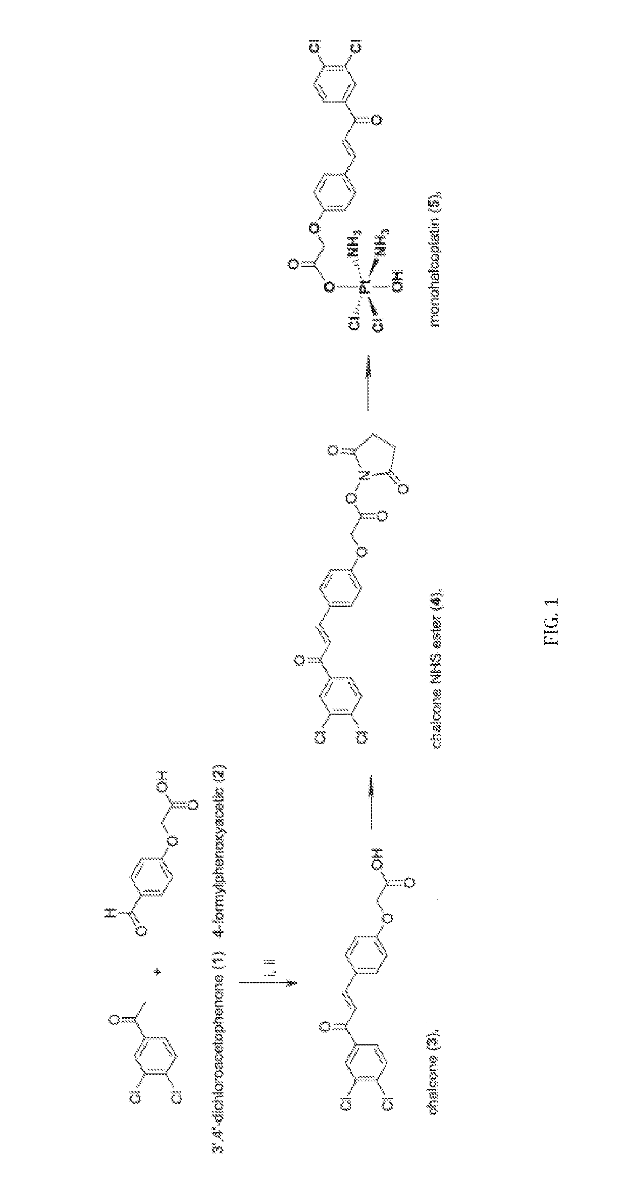 Cytotoxic platinum complex, its preparation and therapeutic use